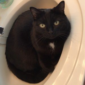 Meet your Posher, Alyssa